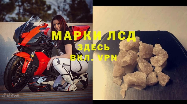 ГАЛЛЮЦИНОГЕННЫЕ ГРИБЫ Беслан
