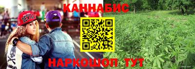 шишки Аргун