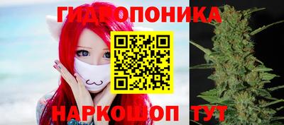индика Апрелевка