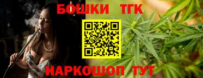 шишки Аргун