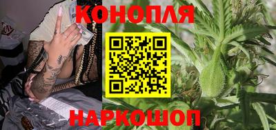 шишки Аргун