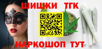 шишки Аргун
