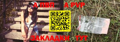 шишки Аргун