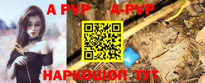 шишки Аргун