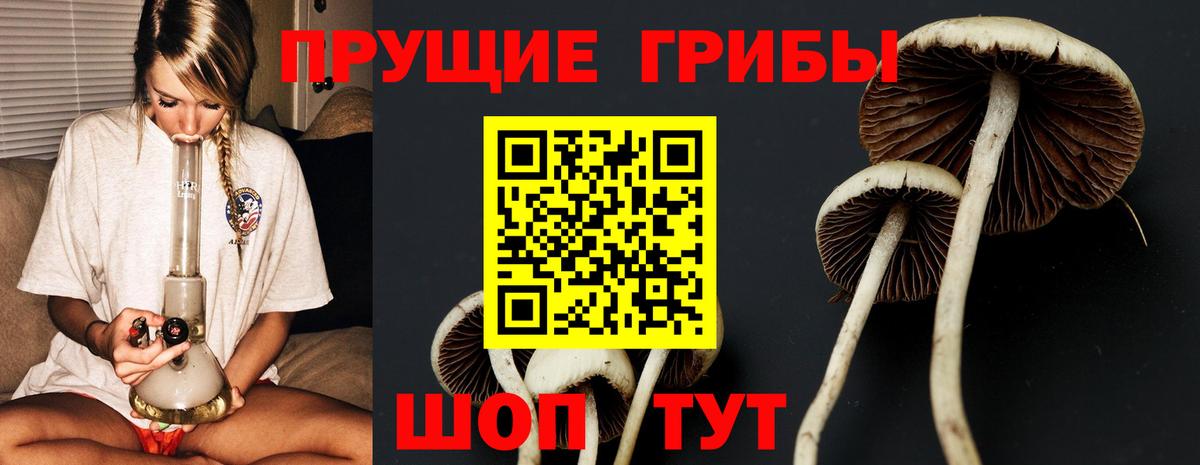 Галлюциногенные грибы GOLDEN TEACHER Кузнецк