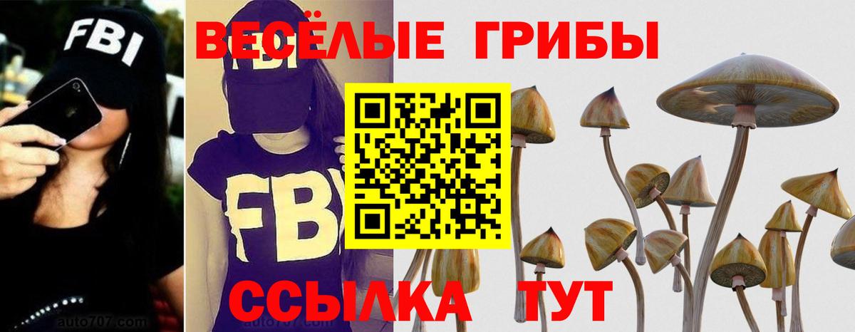 Псилоцибиновые грибы прущие грибы Кузнецк