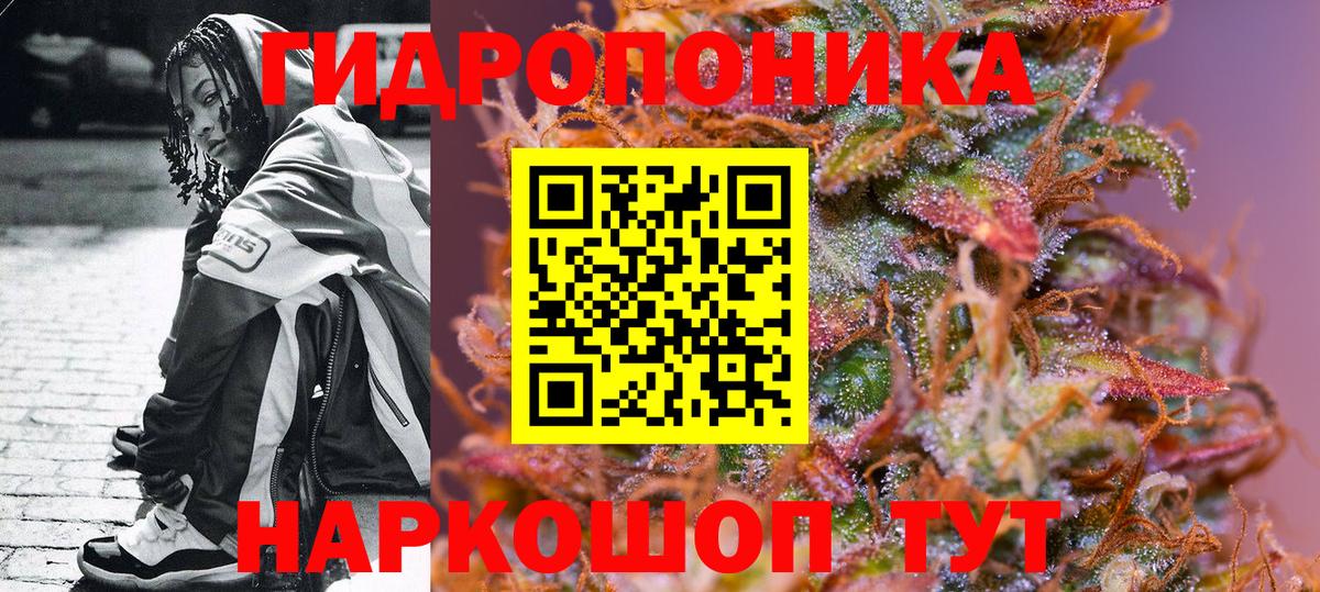 Конопля марихуана Кузнецк